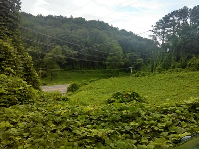 8505 Chapman Hwy, Knoxville, TN 37920 - photo 2