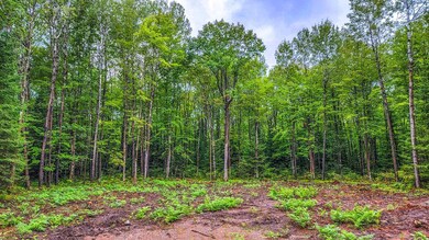 ON Sanctuary Rd, Tomahawk, WI 54487 - photo 4