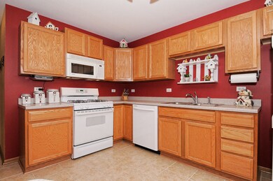 909 Tralee Ct, Gurnee, IL 60031 - photo 5