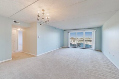 370 S Western Ave unit 505, Des Plaines, IL 60016 - photo 5