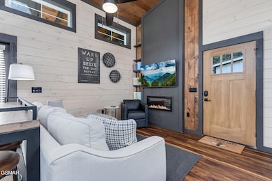 Goose Gap_ Gray Interior Living Room Uni