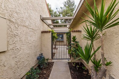 Scottsdale Gated Courtyard