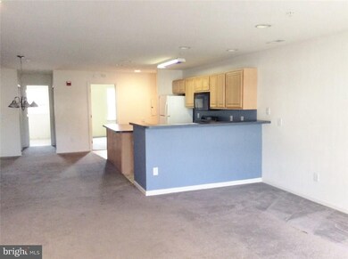 36525 Palm Dr unit 5206, Rehoboth Beach, DE 19971 - photo 6