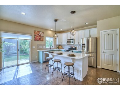 9018 Harlequin Cir, Longmont, CO 80504 - photo 7