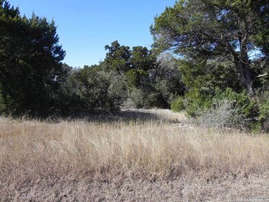 8603 Terra Mont Way, San Antonio, TX 78255 - photo 3