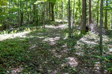 13.37 Acres - Rhymer Road, Damascus, VA