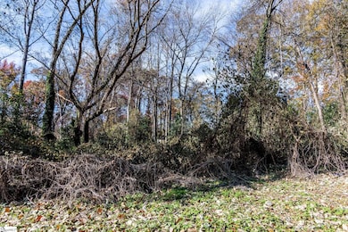 00 Elizabeth St, Clinton, SC 29325 - photo 5