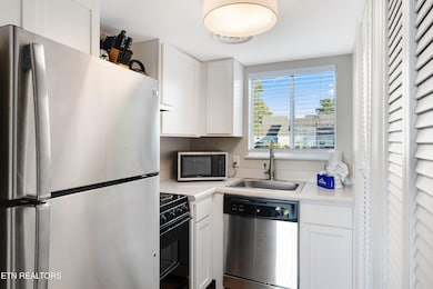 1260 Ski View Dr unit 4204, Gatlinburg, TN 37738 - photo 4