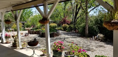 View from Porch