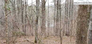 Lots 13-17 Panorama Dr, Todd, NC 28684 - photo 3