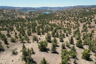 dji_fly_20250618_132742_558_175027945436