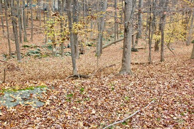 3430 Crestwood Dr, East Stroudsburg, PA 18301 - photo 6