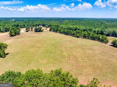 1650 & 1620 Locklin Cemetery Rd, Monroe, GA 30656 - photo 6