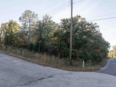 555 and 559 Holly Glen, Callender Lake, TX 75778 - photo 2