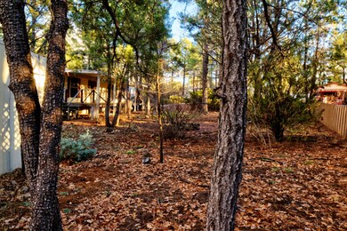 View toward street from rear of property
