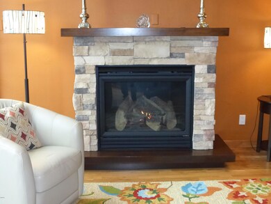 Gas fireplace