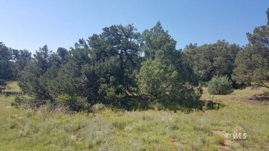 Scrub Oak and Pinion Pine
