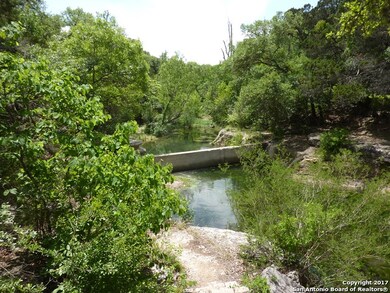 19202 Lovers Ln, Helotes, TX 78023 - photo 7