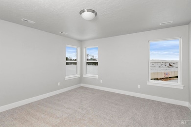 Unfurnished room with carpet flooring, a textured ceiling, and plenty of natural light