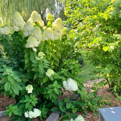 34 Applebee Farms Dr, Jacksonville, IL 62650 - photo 4