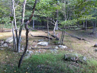 222 Rabbit Ct, Lehman Township, PA 18324 - photo 2