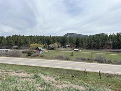 10179 W U S Highway 160, Pagosa Springs, CO 81147 - photo 3