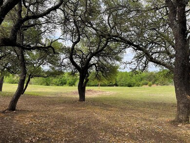 113 Lelon Ln, Springtown, TX 76082 - photo 2