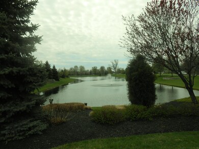 Another view of entry!