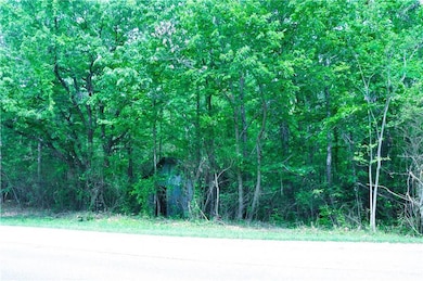 View of local wilderness