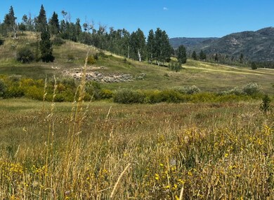 32625 Colt Trail, Oak Creek, CO 80467 - photo 2