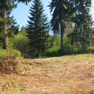 unlisted-address, Stanwood, WA 98292 - photo 5