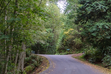 157 Chuckanut Crest Dr, Bellingham, WA 98229 - photo 4