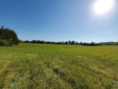 250 Temple Ford Rd, Shelbyville, TN 37160 - photo 5