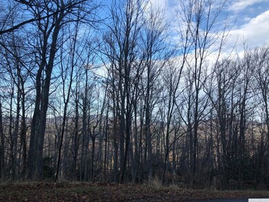 0 Club Rd unit 150906, Windham, NY 12496 - photo 6