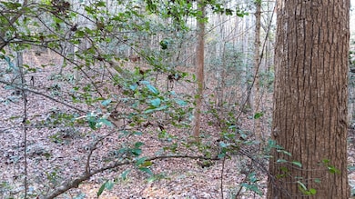 3815 River Mill Ln, Franklinton, NC 27525 - photo 4