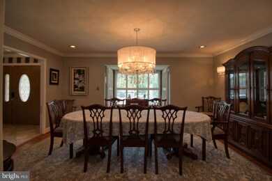 5900 6th St, Falls Church, VA 22041 - photo 3