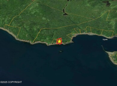 L5 Uyak Bay, Larsen Bay, AK 99624 - photo 6