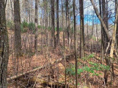 Lucious woods offer shade and privacy.
