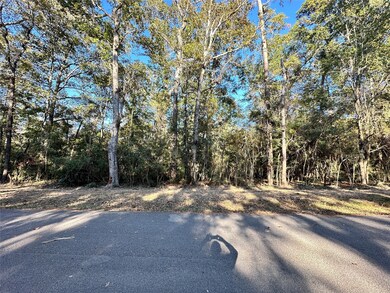 16136 Plaster Cir, Conroe, TX 77303 - photo 2