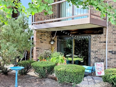 271 W 1st St unit 1B, Elmhurst, IL 60126 - photo 3