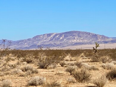 132 Mars Dr, Joshua Tree, CA 92252 - photo 6