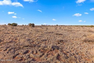 2549 E Valle Rd, Williams, AZ 86046 - photo 7