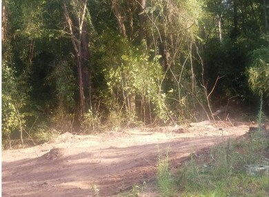 Photo of property cleared