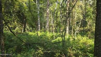 00 Nelson Corner Rd, Roxie, MS 39661 - photo 5