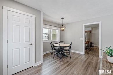 102 Amber Ln, Geneseo, IL 61254 - photo 7