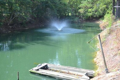 Catfish Pond