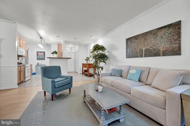 9603 Devedente Dr unit 103, Owings Mills, MD 21117 - photo 5