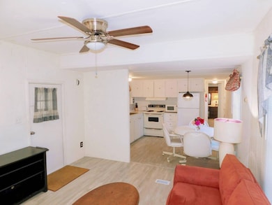 38049 Winter Dr, Zephyrhills, FL 33542 - photo 6