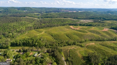 0 Old Blacks Bluff Rd SW unit 10652523, Rome, GA 30161 - photo 2