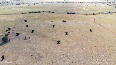 000-A1 Kirby Lane Parcel A1 Ln, Ash Fork, AZ 86320 - photo 3